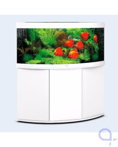 Juwel Trigon 350 LED Eckaquarium Komplettset