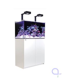 Red Sea Reefer 300 G2 Deluxe - Weiß