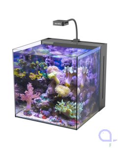 Aqua Medic Yasha 60 Beispiel