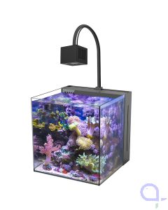 Aqua Medic Yasha plus 60 mit Qube 60 LED
