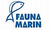 Fauna Marin Fauna Marin