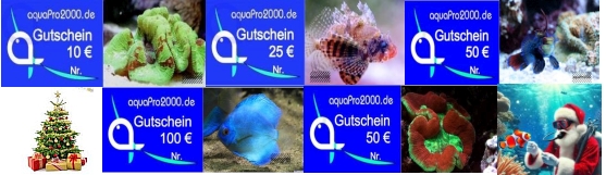 Gutscheinaktion 10%