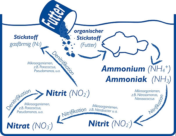 microbe lift nite out ii bakterienkulturen aquapro2000