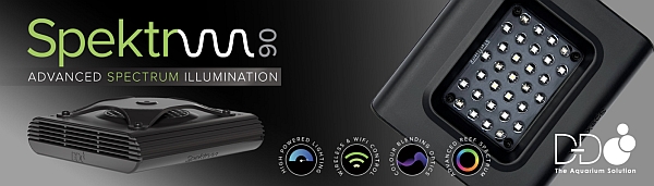 D-D Spektrum LED Leuchte